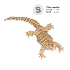 Bearded Dragon