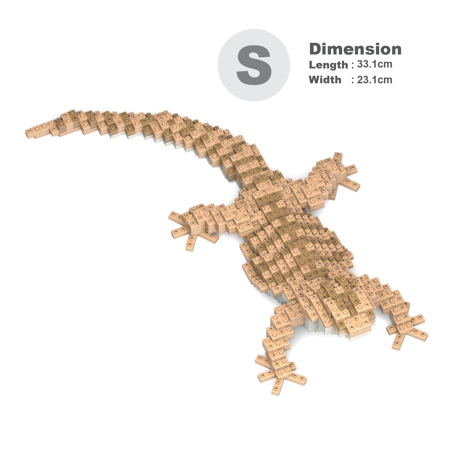Bearded Dragon