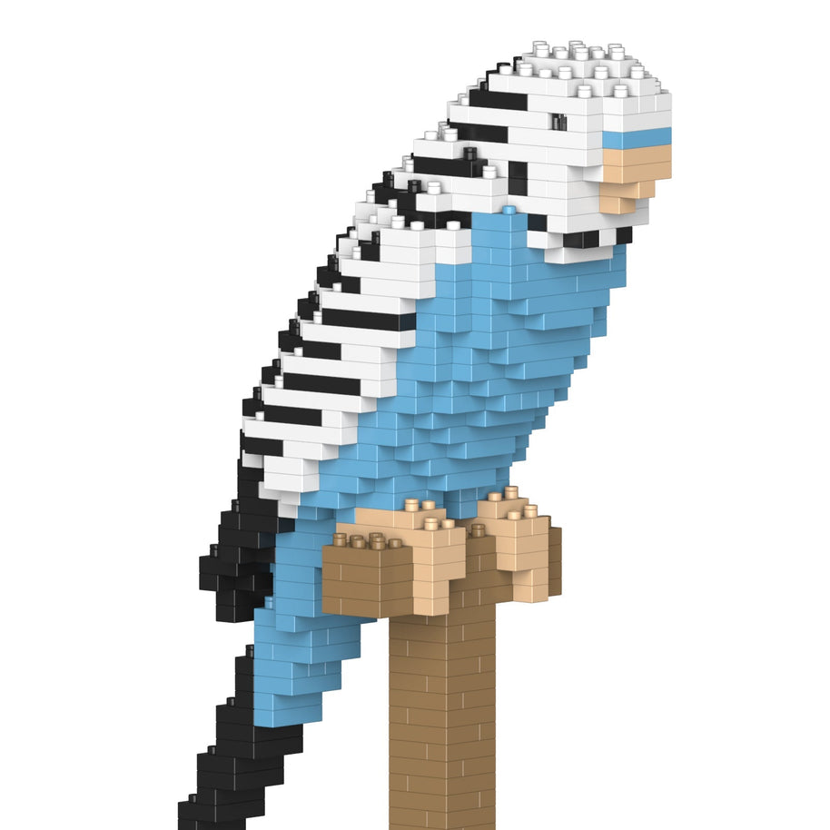 Budgie