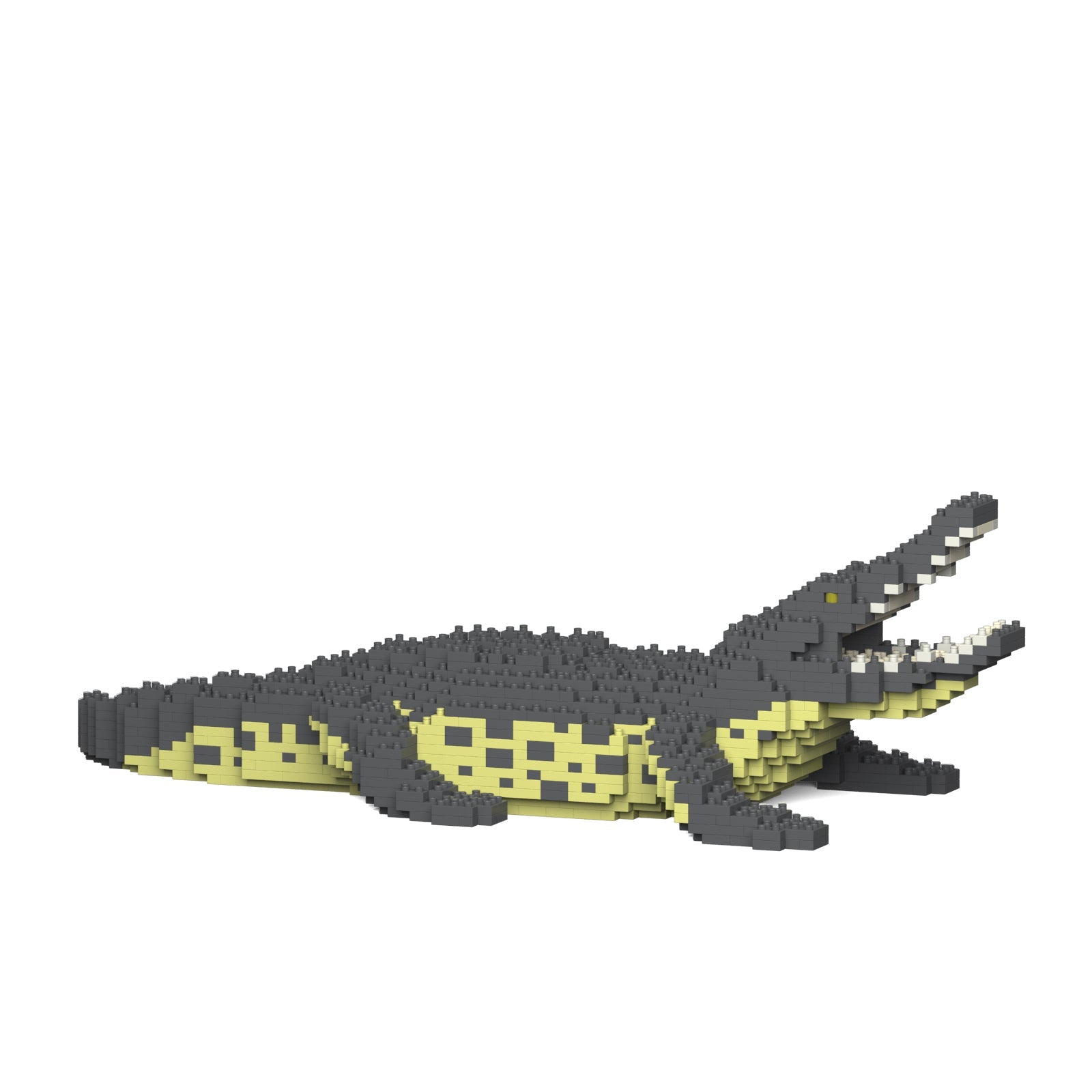 Crocodile