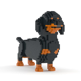 Dachshund