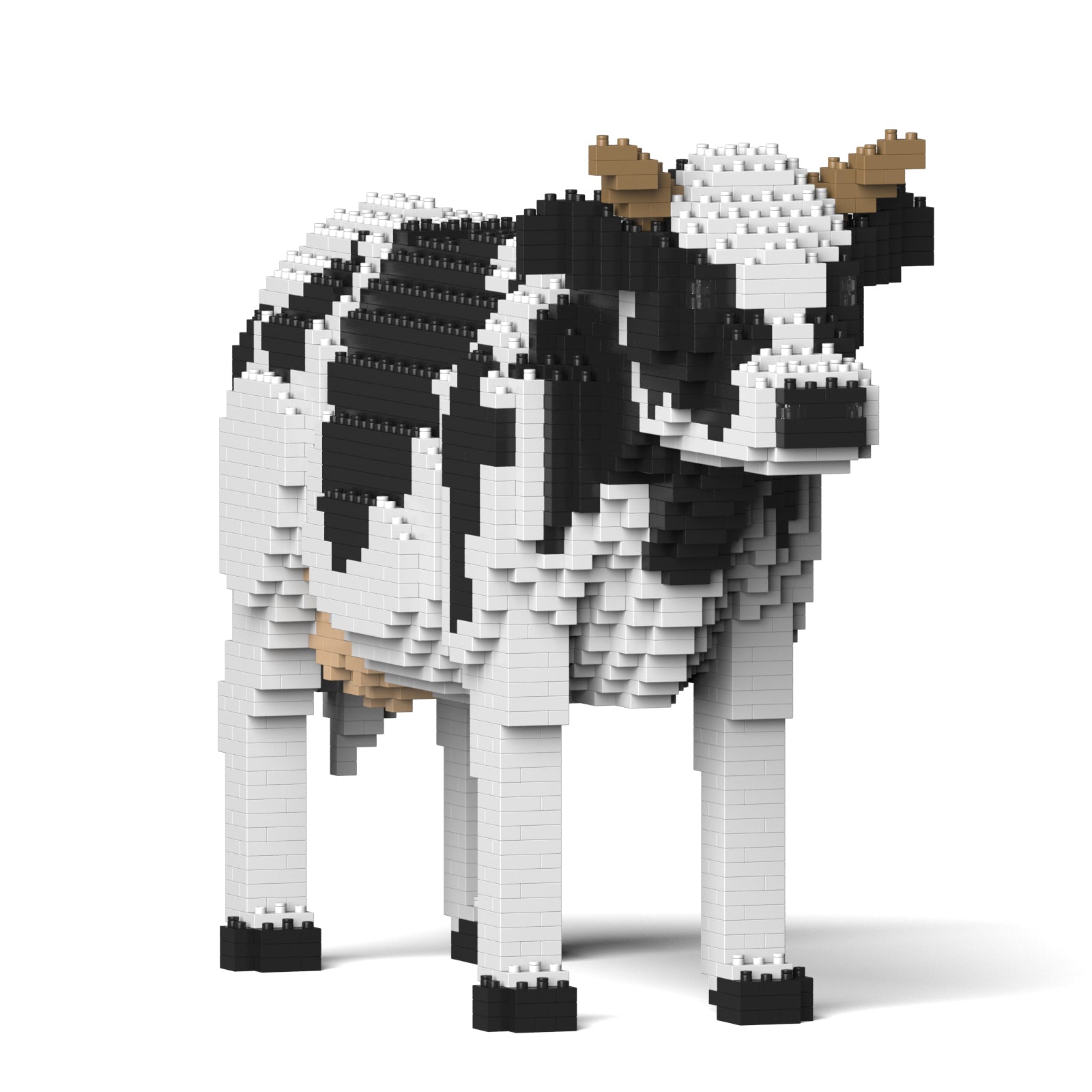 Dairy Cow