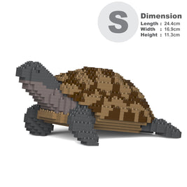 Greek Tortoise