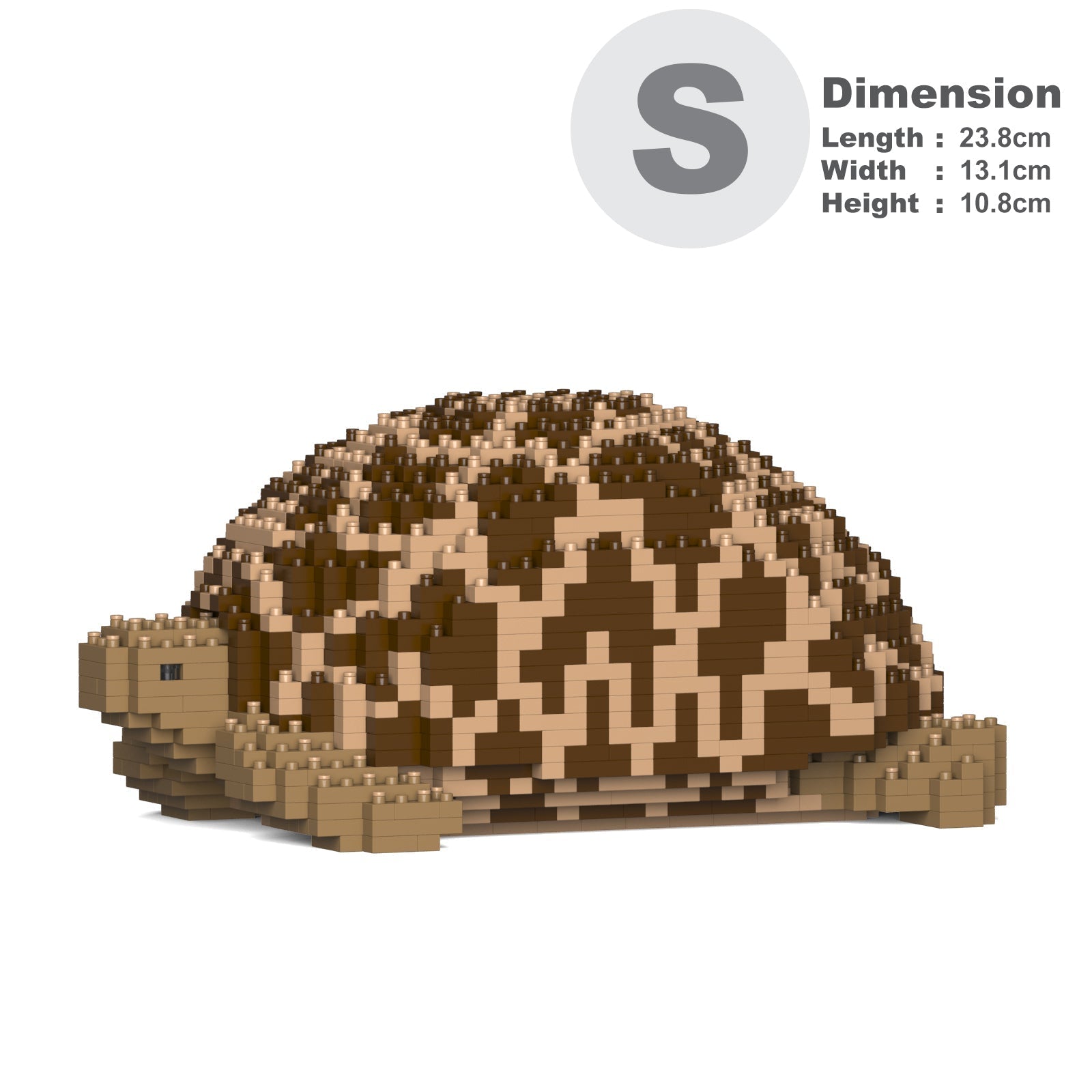 Indian Star Tortoise