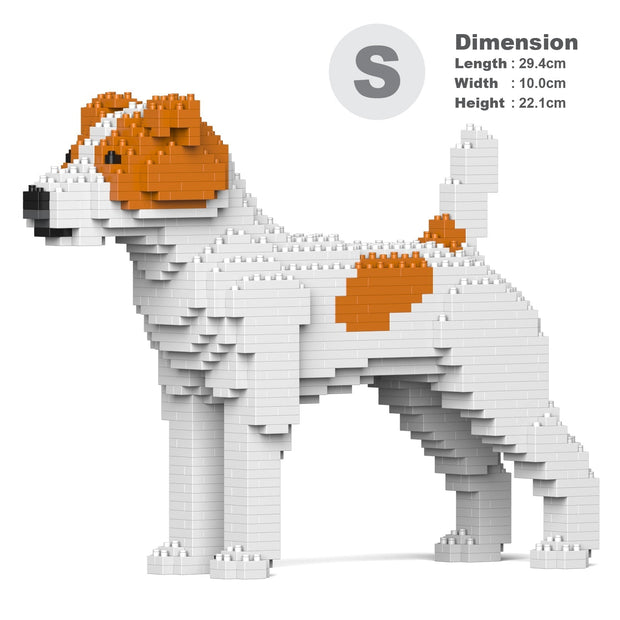 Jack Russell Terrier