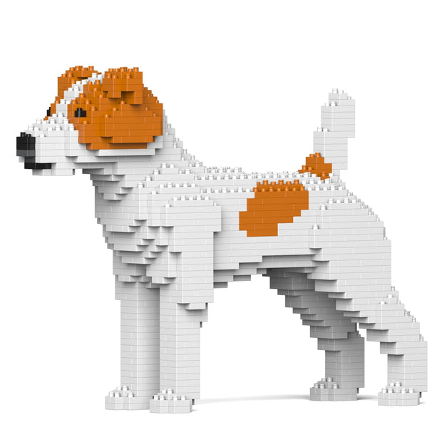 Jack Russell Terrier