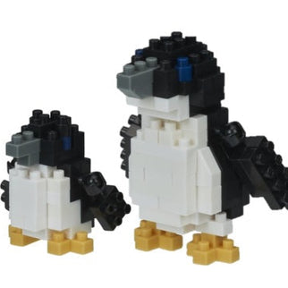 Fairy Penguins