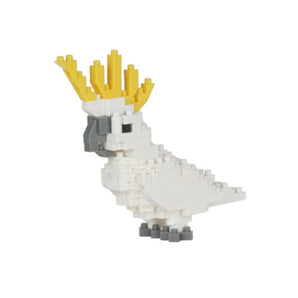 Sulphur Crested Cockatoo