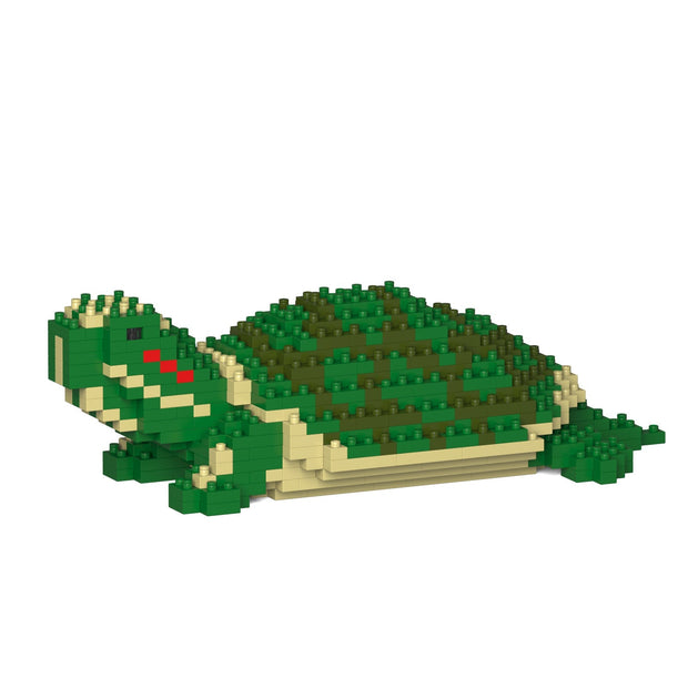 Red-eared Slider