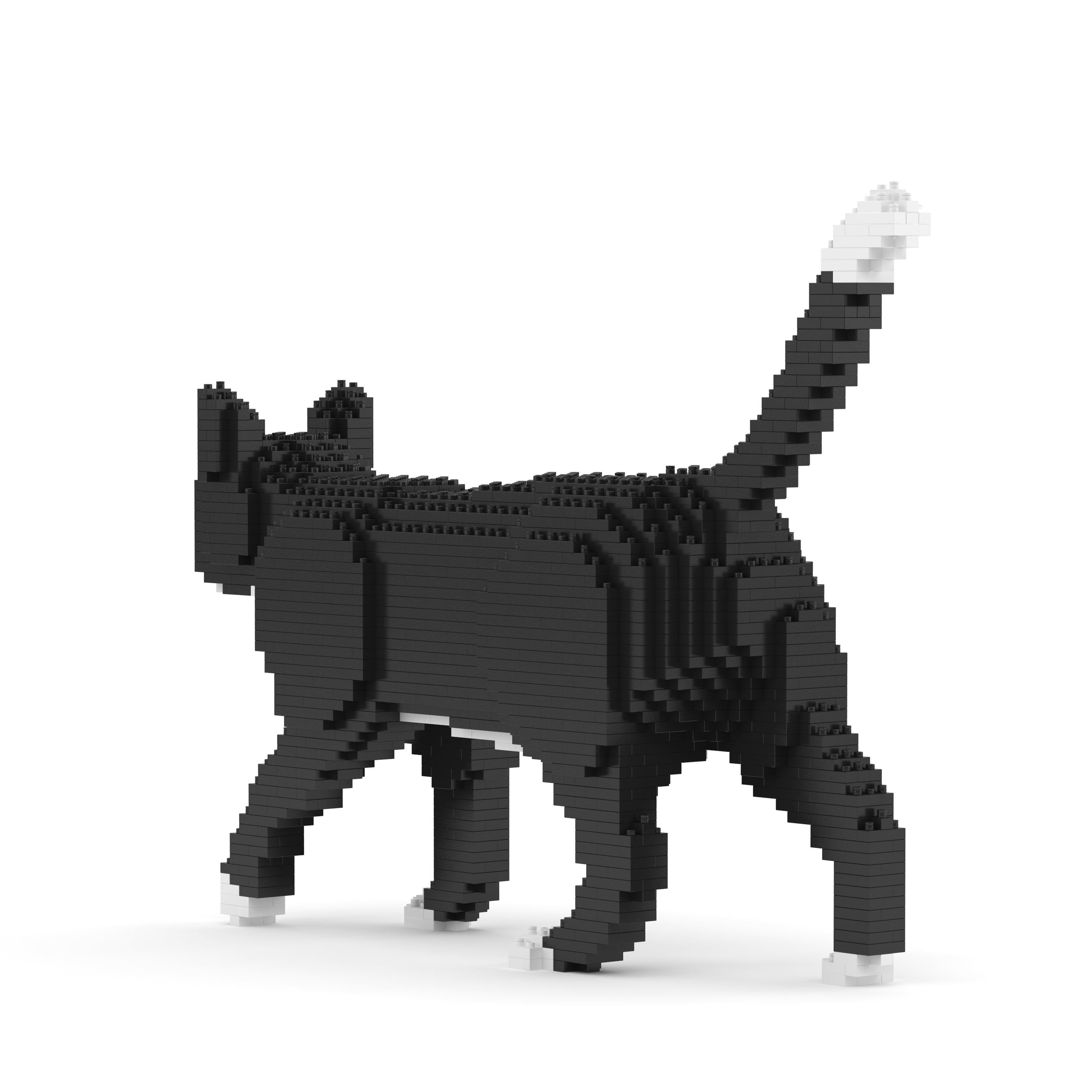 Tuxedo Cat